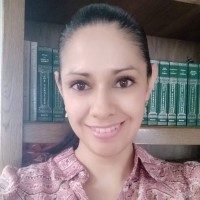 Lizeth Castro Saldaña