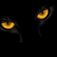 Константин Ф