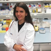 Judit Núñez Manchón