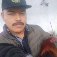 romero desc
