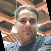 Vikas Pratap Ray