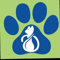Fat Cat Media