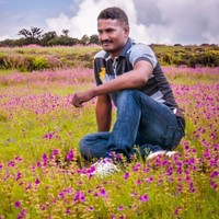 Vikas Holey