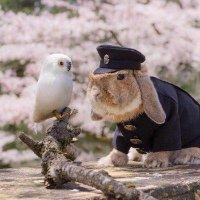 蒋雪锋