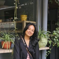 Oshin Dali