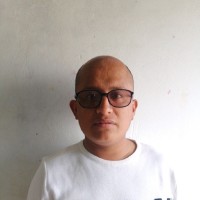 José Luis Flores Verde