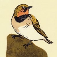 Meredith Macleod