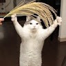오연석