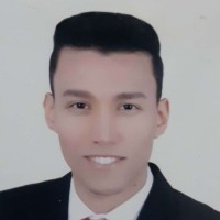 Mohsen Eid