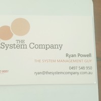 The System Company Auditor/Consultant