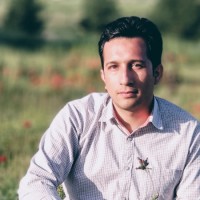 saeed shabani