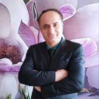 Seyed Shahin Hosseini