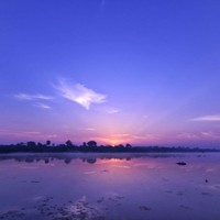 Vidhi Chhaniyara