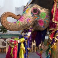 Viaggio / Turismo in India