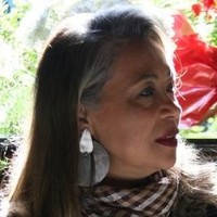 Sandra Pérez pereira da Silva