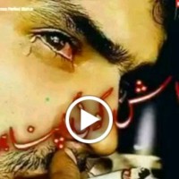 Ali Hamza
