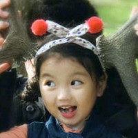 Jolin Luo