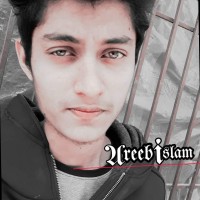 areeb islam