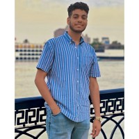 Bassel Hesham