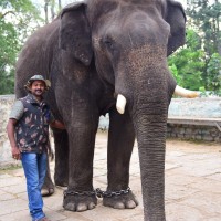 Karthik K