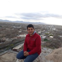 Mohsen Khodaei