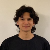 Andres Camilo Castro Bravo