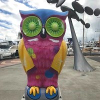 Meredith Owly