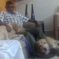 Raja Ramachandran