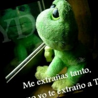 Concepcion Pacanchique