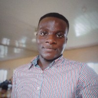 David I. Adeparusi