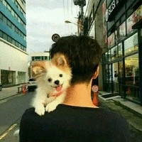 司志远