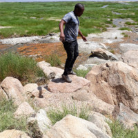 Hussein Msangi