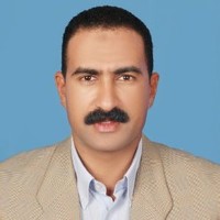 Essam Anwar