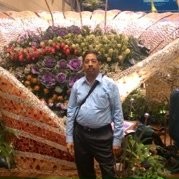 Modi M C Modi & co