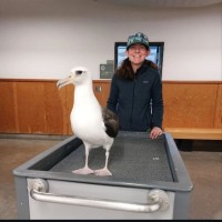 Jenni Hickey