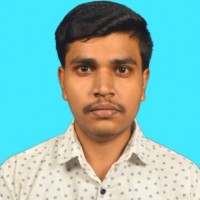 Parthasarathi N