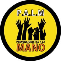 Palm Asesorias