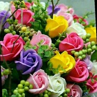 Upasna Shrimal