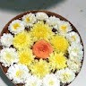 AL Poojitha