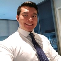 Merlin Viet