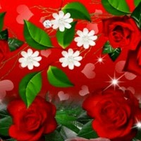 Sharath Vr