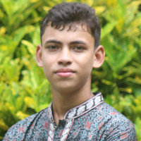 N Designer