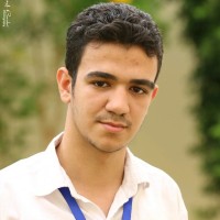 Mina Ashraf Henry