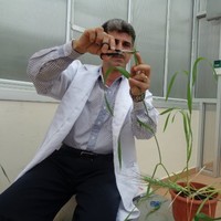 Dr. Abbas abdulrahman