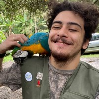 Pedro Furtado Morais