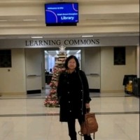 Claudia N. P. Brito