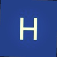 HENRIQUE BOURSCHEID BOURSCHEID