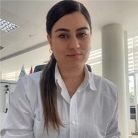 Özge Fidan