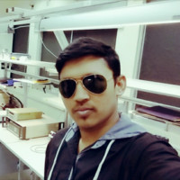 Muhammad Hasan Shahid
