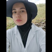 Fatma Büşra Köroğlu